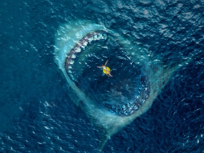 The Meg